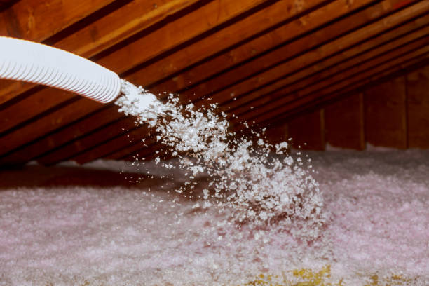 Best Insulation Maintenance and Repair in North Catasauqua, PA